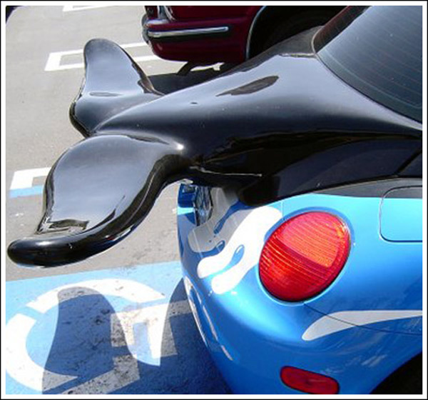 Whale Tail Spoiler You Drive What
